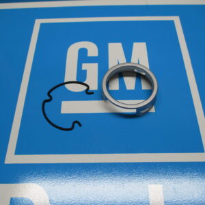 GM Rack Spring